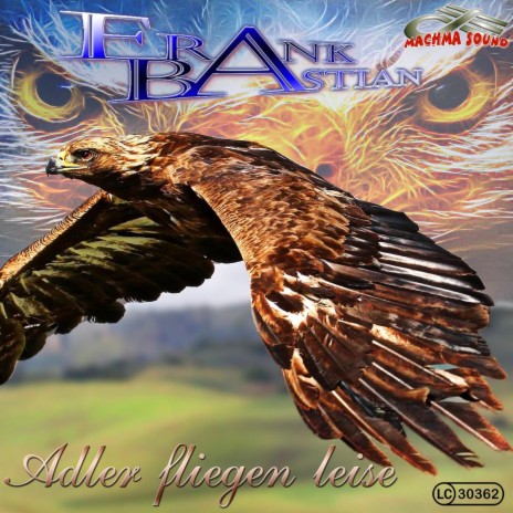 Adler fliegen leise | Boomplay Music