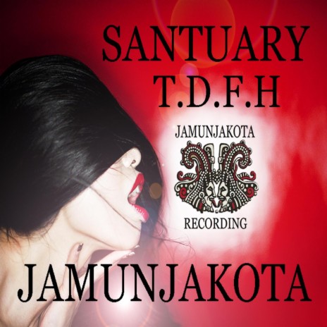 Tear Drops From Heaven /Santuary (Satellite(Jamunjakota Remix))