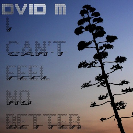 dvid m - i can´t feel no better