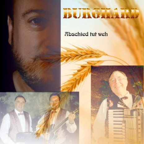 Abschied tut weh | Boomplay Music