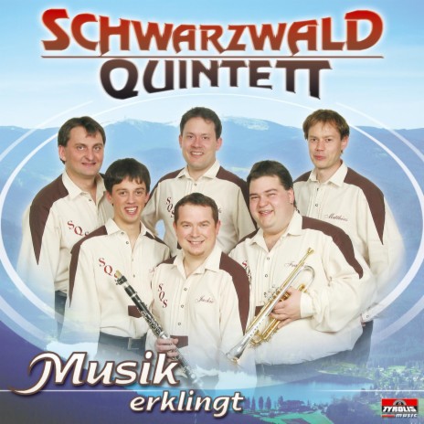 Musikfest im Schwarzwaldtal