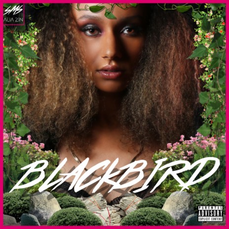 Blackbird | Boomplay Music