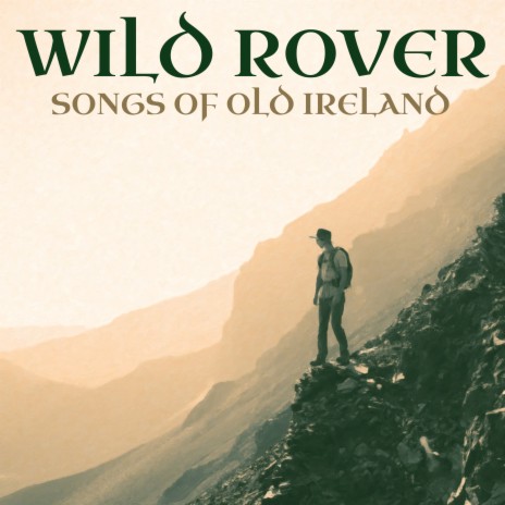The Wild Rover | Boomplay Music