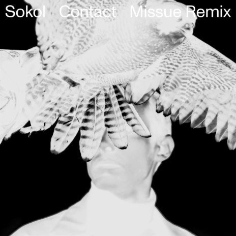 Contact (Missue Remix) | Boomplay Music