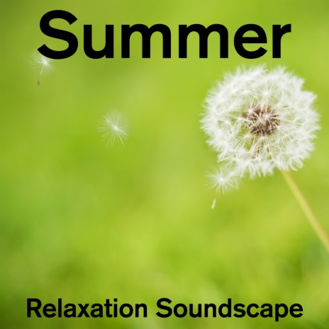 Summer Relaxation Soundscape | Boomplay Music