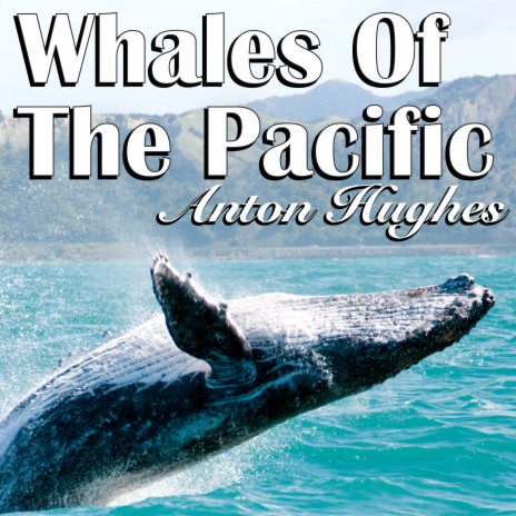 Whales Of The Pacific | Boomplay Music