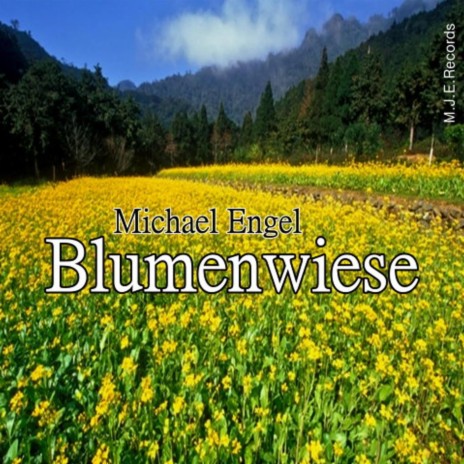 Blumenwiese