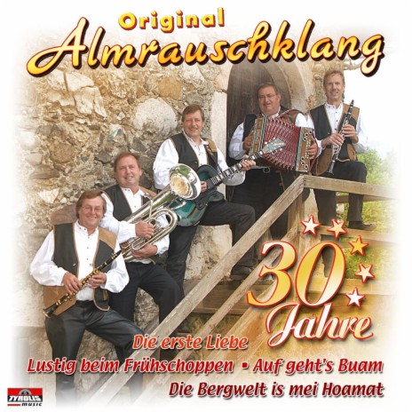 Übern Schlossbichl (Radio Version) | Boomplay Music