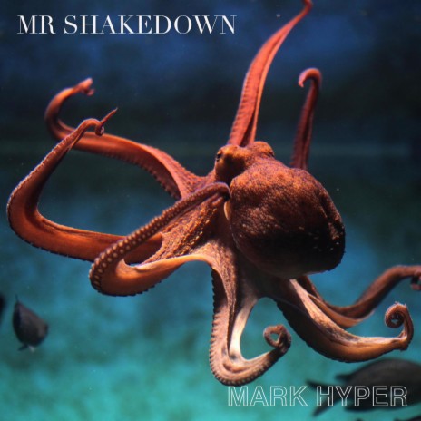 mr shakedown