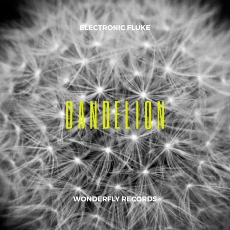 Dandelion | Boomplay Music