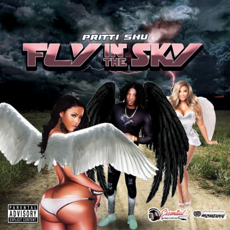 Fly in the Sky | Boomplay Music