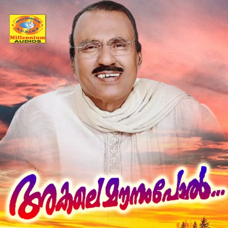 Vazhikalillathe Njan | Boomplay Music