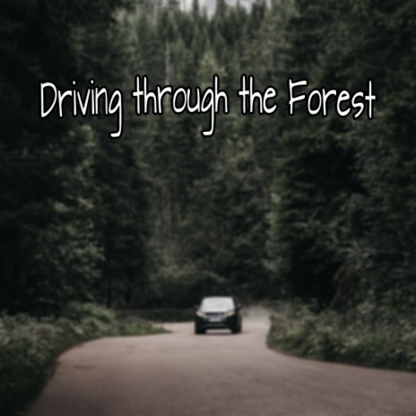 Driving Through the Forest | Boomplay Music