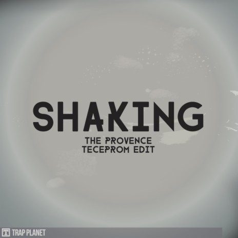 Shaking (Teceprom Remix)