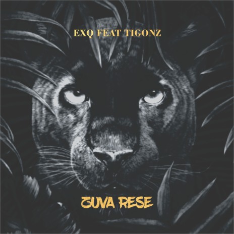 Zuva Rese ft. Ti Gonzi | Boomplay Music