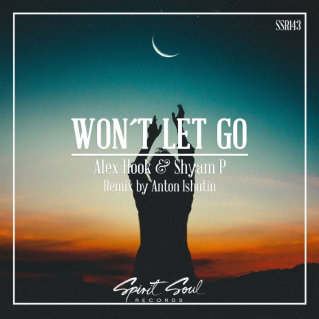Won't Let Go (Original Mix) ft. Shyam P | Boomplay Music