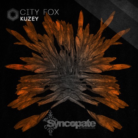 City Fox (Original Mix)