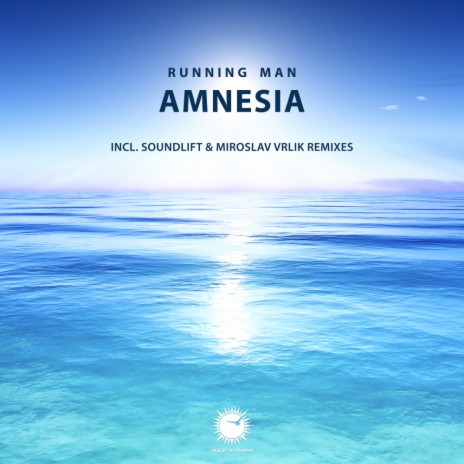 Amnesia (Miroslav Vrlik Remix) | Boomplay Music