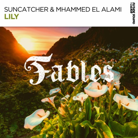 Lily (Extended Mix) ft. Mhammed El Alami