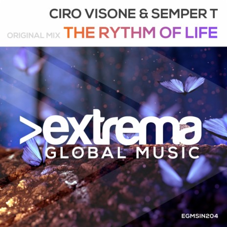 The Rhythm Of Life (Radio Edit) ft. Semper T | Boomplay Music