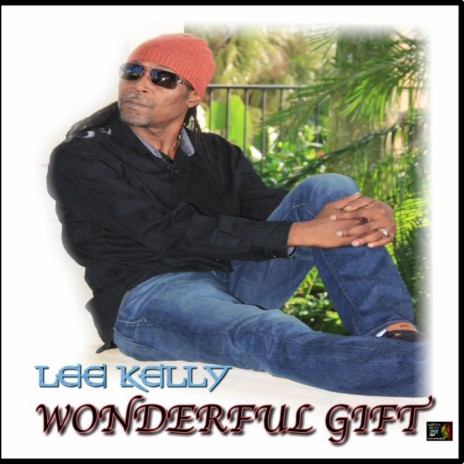 Wonderful Gift | Boomplay Music