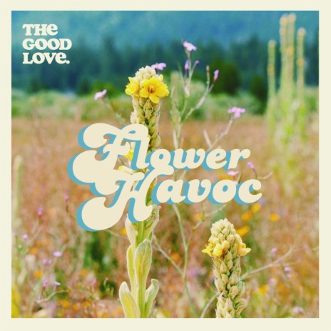 Flower Havoc | Boomplay Music