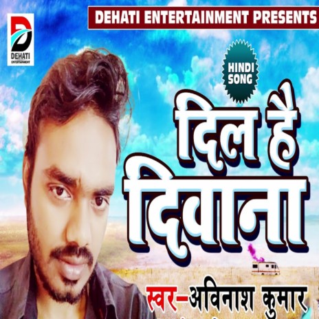 Dil Hai Deewana | Boomplay Music