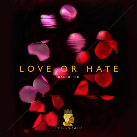 Love Or Hate (Original Radio Edit) | Boomplay Music