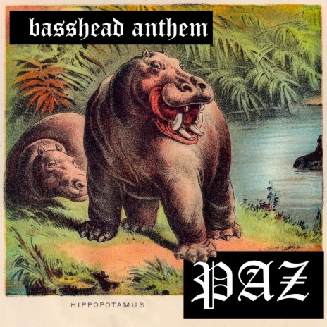 Basshead Anthem | Boomplay Music