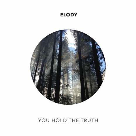 You Hold the Truth | Boomplay Music