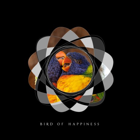 Bird of Happiness (Fast edit)
