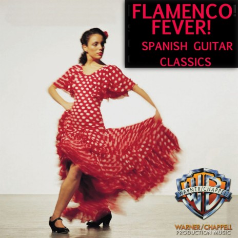 Mi Cante Del Flamenco