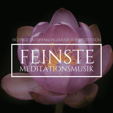 Feinste Meditationsmusik ft. Die Entspannung Noten | Boomplay Music