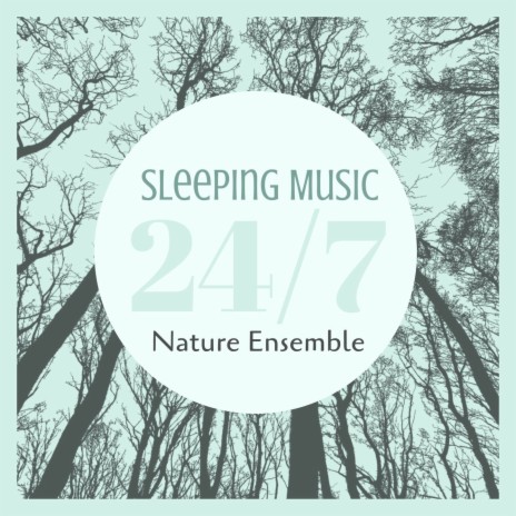 Sleeping Music ft. Free Zen Spirit