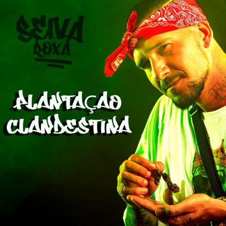 Plantação Clandestina | Boomplay Music