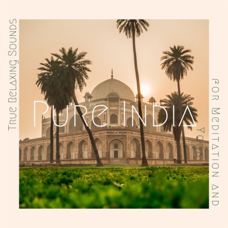 Pure India ft. New Age Music Station | Boomplay Music