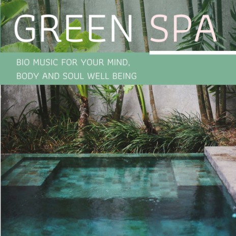 Spa Day Music ft. Green Nature SPA