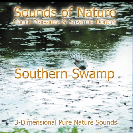 Southern Swamp ft. Chuck Plaisance