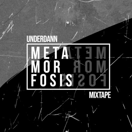 Metamorfosis | Boomplay Music