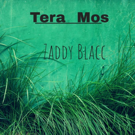 Tera Moss