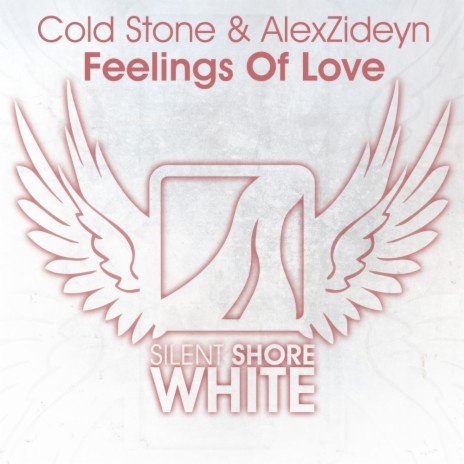 Feelings Of Love (Original Mix) ft. AlexZideyn