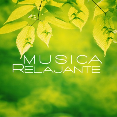Motivacion, relajación ft. Musica Relajante | Boomplay Music