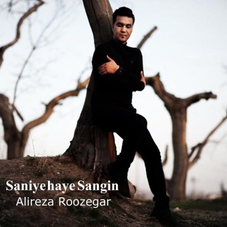 Saniyehaye Sangin