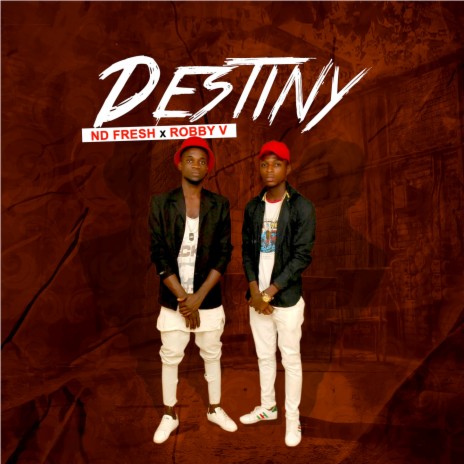Destiny ft. ND Fresh | Boomplay Music