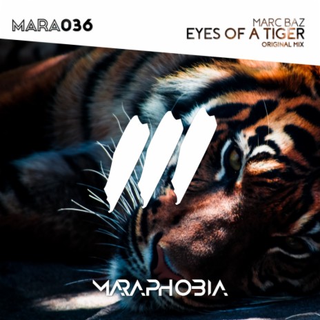 Eyes Of A Tiger (Original Mix) | Boomplay Music