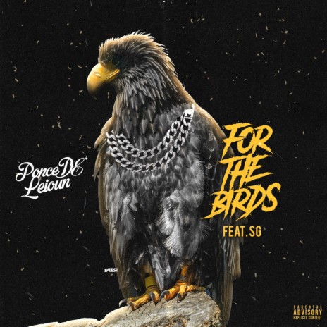 For The Birds | Boomplay Music