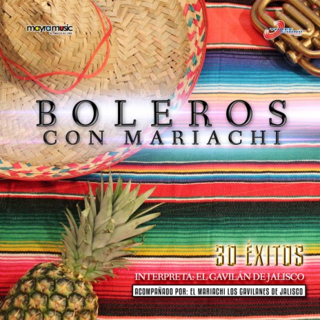 Si Nos Dejan ft. El Mariachi Los Gavilanes De Jalisco | Boomplay Music