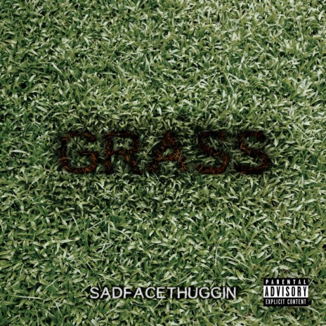 Grass | Boomplay Music