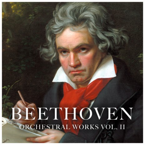 Symphony No. 9 In D Minor, Op. 125, Choral; II. Molto Vivace | Boomplay Music