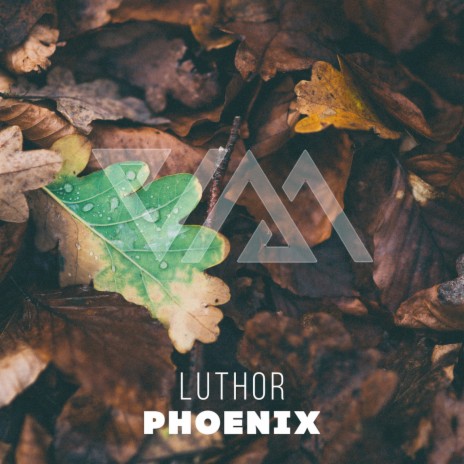 Phoenix (Extended Mix) | Boomplay Music
